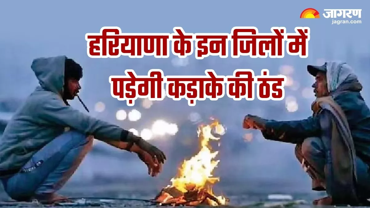 कोहरे की चादर में लिपटा हरियाणा...ठंड ने दिखाए तेवर, बारिश से गिरा तापमान; पढ़ें आपके शहर में अब कैसा रहेगा मौसम