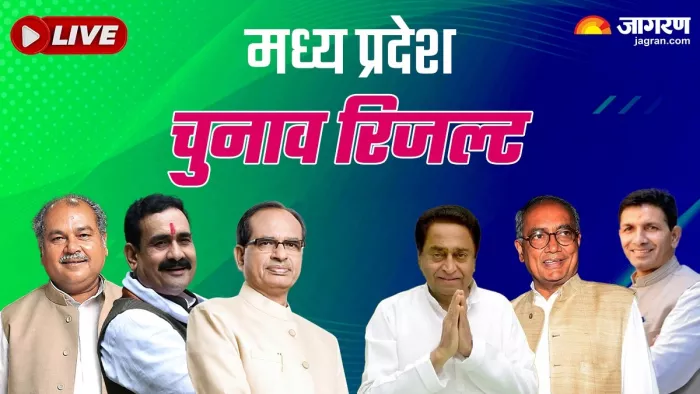 News Article Hero Image