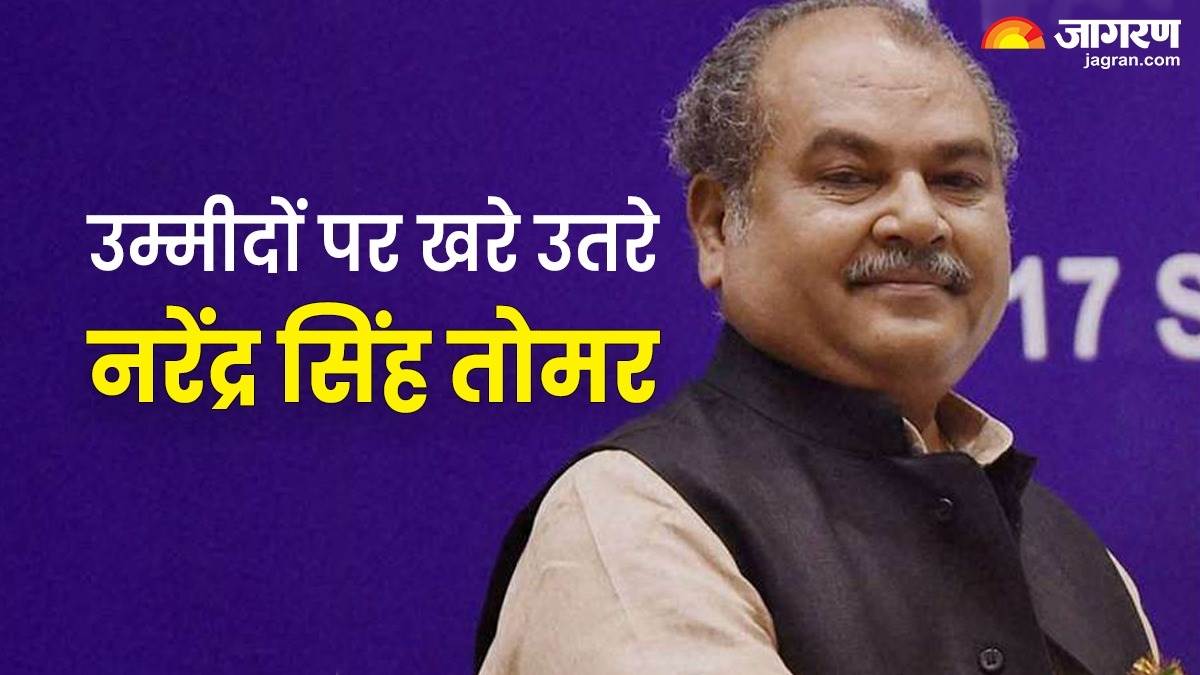 bjp candidate narendra singh tomar is maintaining a big lead in dimani assembly seat