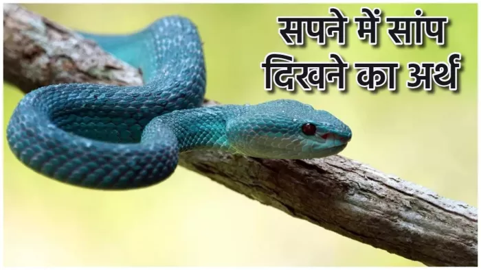 Swapna Shastra: सपने में सांप का दिखना