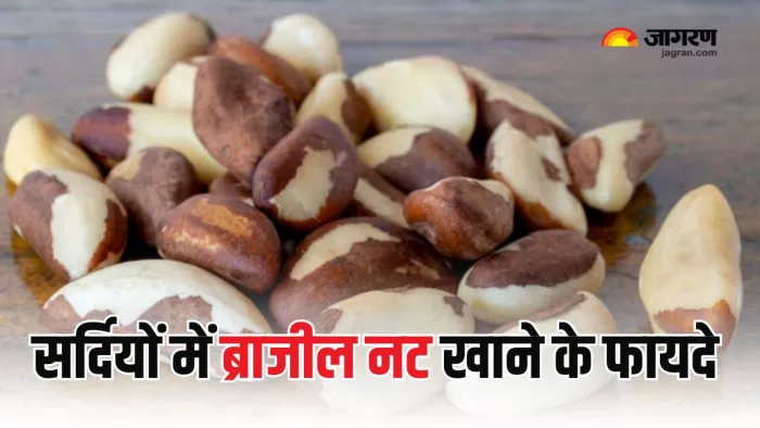 Brazil Nuts खाने से मिलेंगे ढेरों फायदे (Picture Courtesy: Freepik)