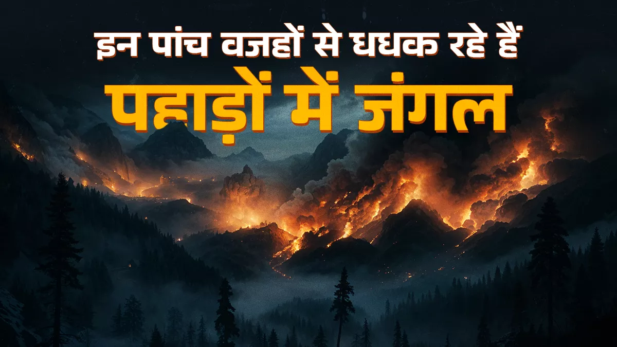 जलवायु परिवर्तन के चलते जंगलों में आग के मामले बढ़े हैं, कम बारिश और बढ़ती गर्मी से बढ़ा खतरा