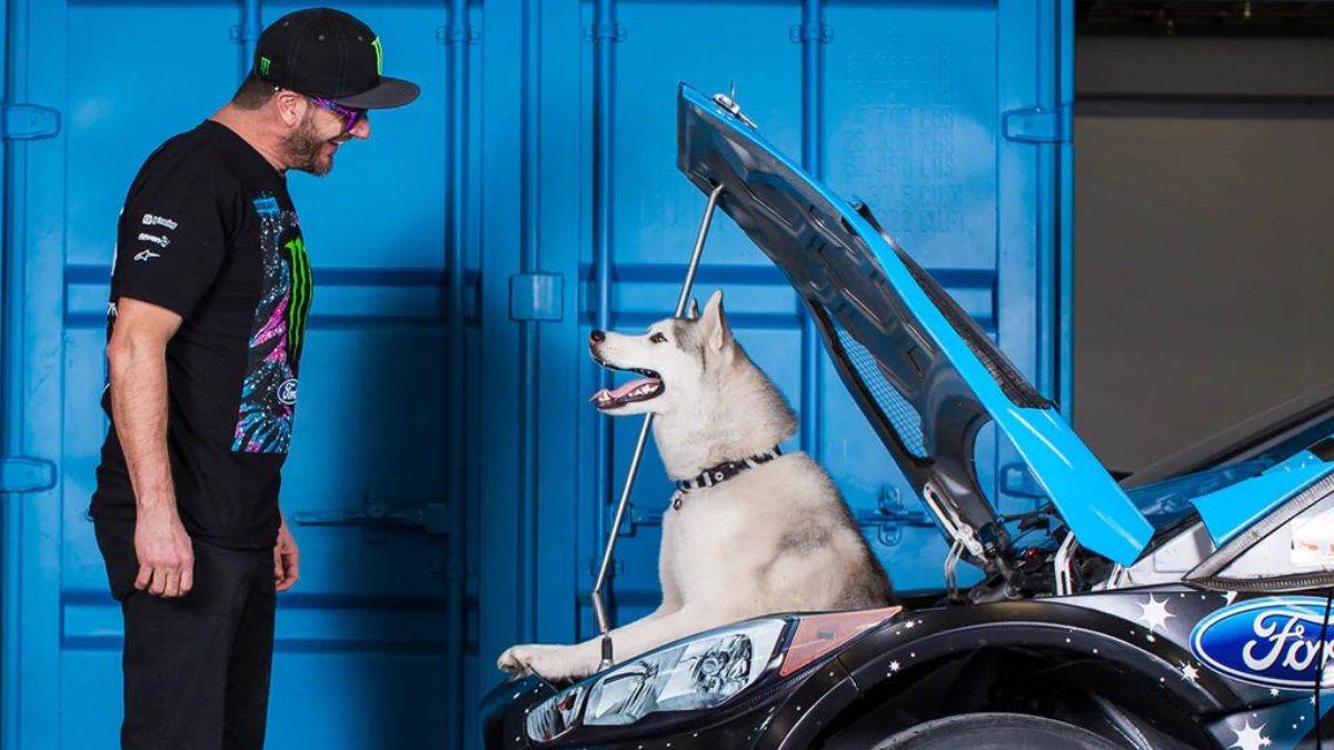 Р“РѕРЅС‰РёРє Ken Block