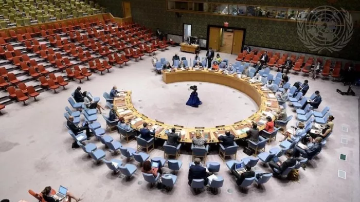UN Security Council welcomes new members country