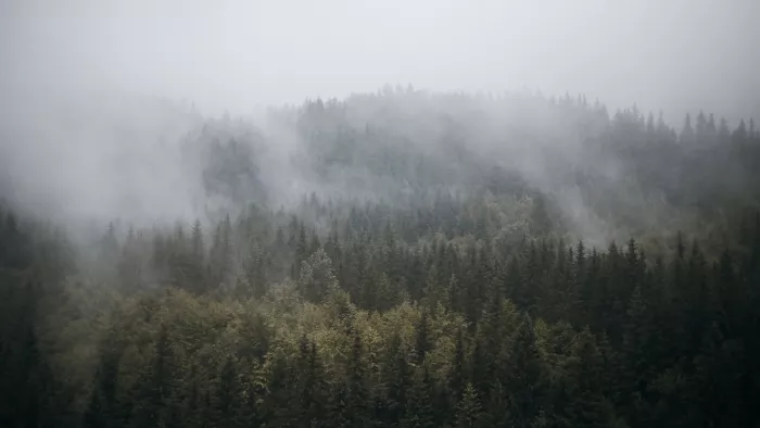 Some of the apps that can help you to check the weather