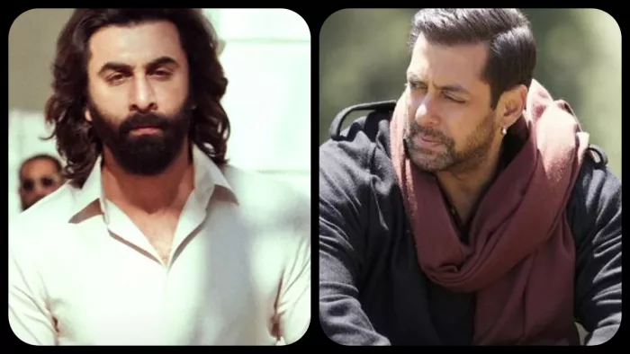 सलमान खान की इस फिल्म का रिकॉर्ड नहीं तोड़ सकेगी एनिमल / फोटो- Instagram
