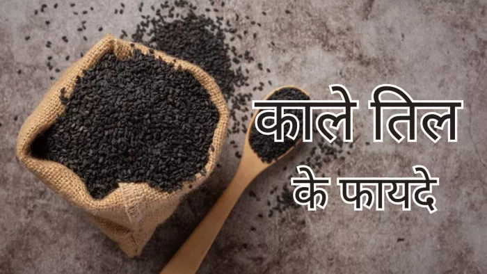जानें सर्दियों में क्यों खाने चाहिए काले तिल