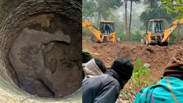 कुएं में गिरा हाथी और उसे देखने के लिए जमा हुए लोग।