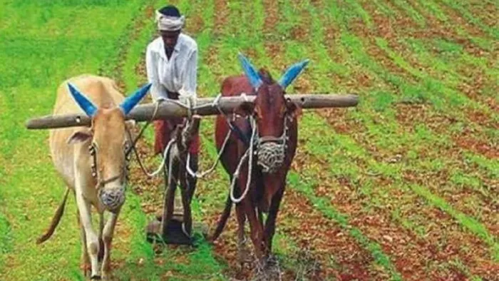अब अफ्रीकी देशों में खेती करेंगे हरियाणा के किसान