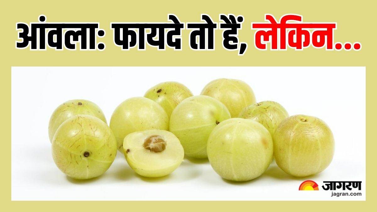 it is believed that amla is very beneficial in winter but eating too much can also cause some harm