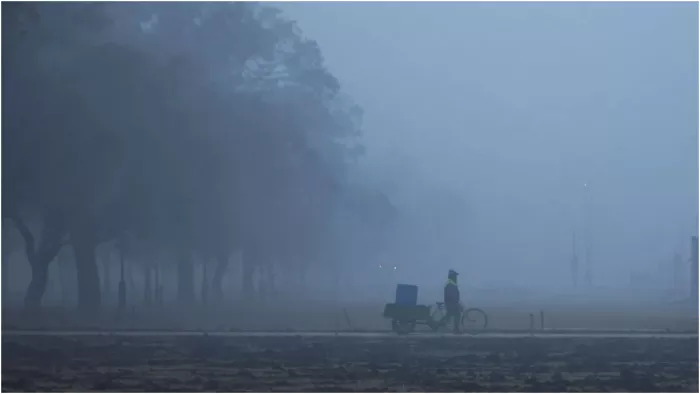 कोहरे ने उत्तर भारत के कई राज्यों को अपनी चपेट में ले लिया है। (File Image)