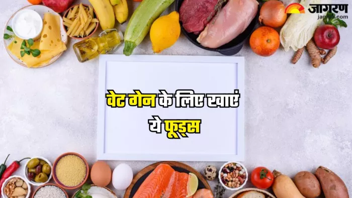 वेट गेन के लिए खाएं ये फूड्स (Picture Credit- Freepik)