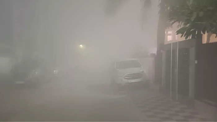 कोहरे की चादर में लिपटा हरियाणा, छाया घना कोहरा।