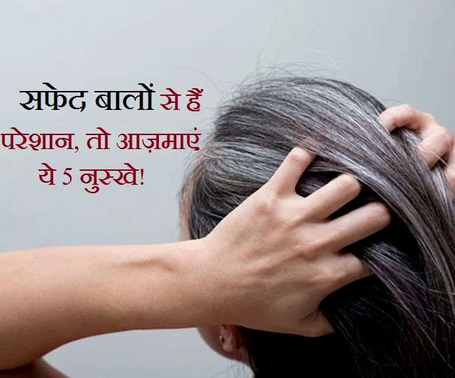 Grey Hair Remedy: सफेद बालों को काला बनाने में काम आएंगे ये 5 देसी उपाय! - Grey Hair Remedy: These 5 Desi Remedies Will Work To Make White Hair Black! Grey Hair Remedy: सफेद बालों को काला बनाने में काम आएंगे ये 5 देसी उपाय! - Grey Hair Remedy: These 5 Desi Remedies Will Work To Make White Hair Black!
