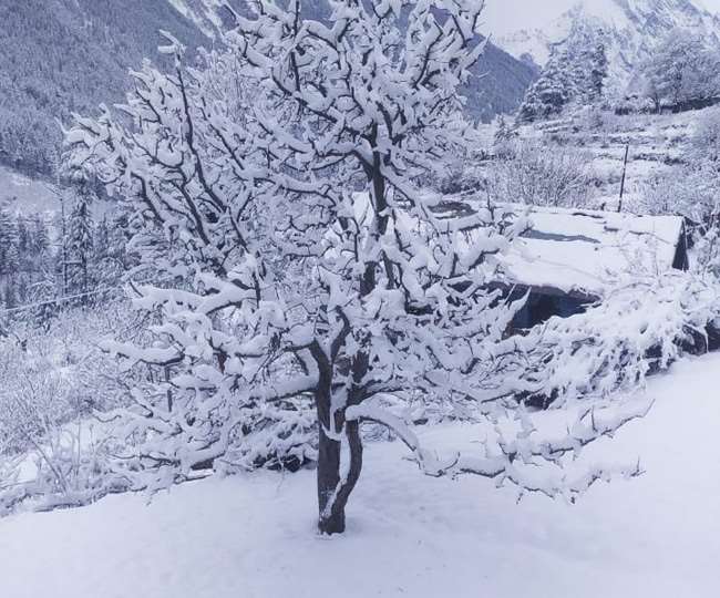 उत्तरकाशी जनपद के हर्षिल घाटी में बर्फबारी का दृश्य।