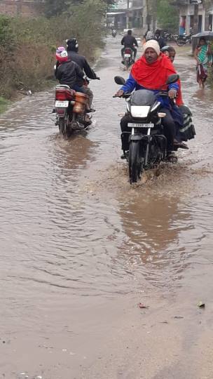 heavy rainfall in bermo destroyed tomato and potato plants