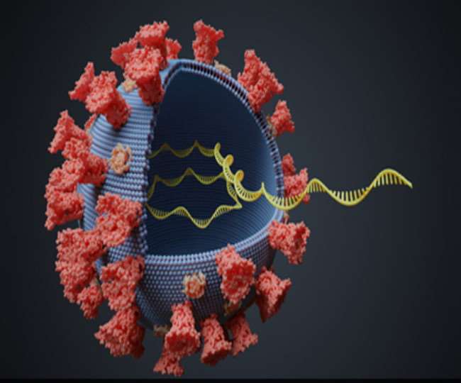 people died due to pneumonia in third wave of corona 17 died in hisar so far