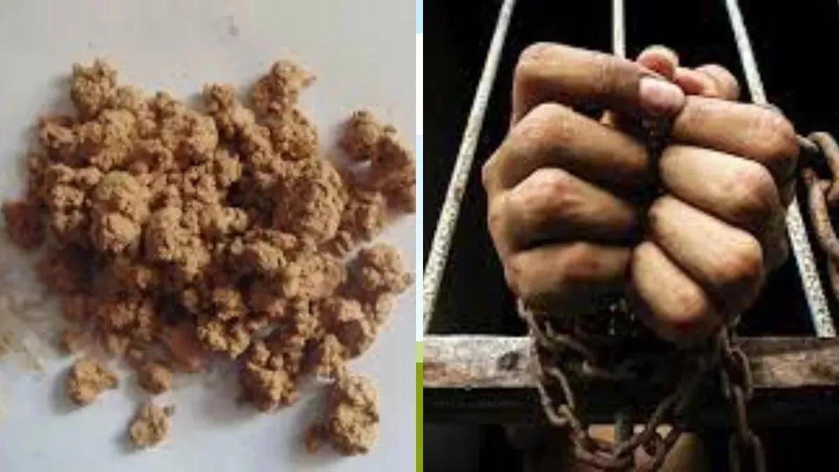 Odisha Brown Sugar Seized: पुरी में 2 महिला समेत 4 तस्कर ब्राउन शुगर के साथ गिरफ्तार, 30 लाख के करीब है कीमत