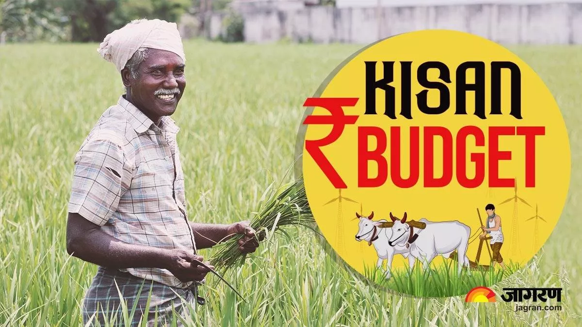 What is special in this budget for farmers, middle class and youth