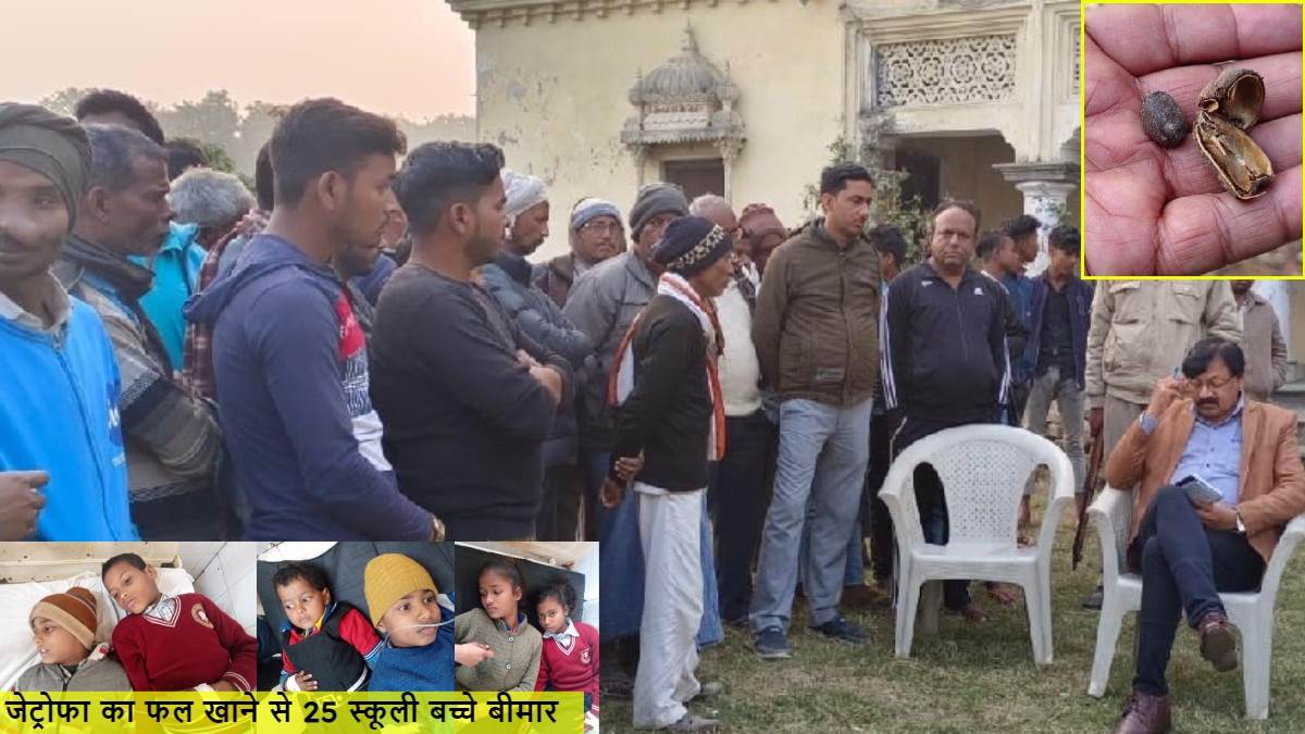 kushinagar 25 school children ill after eating jatropha fruit all teachers and principal absconded from spot