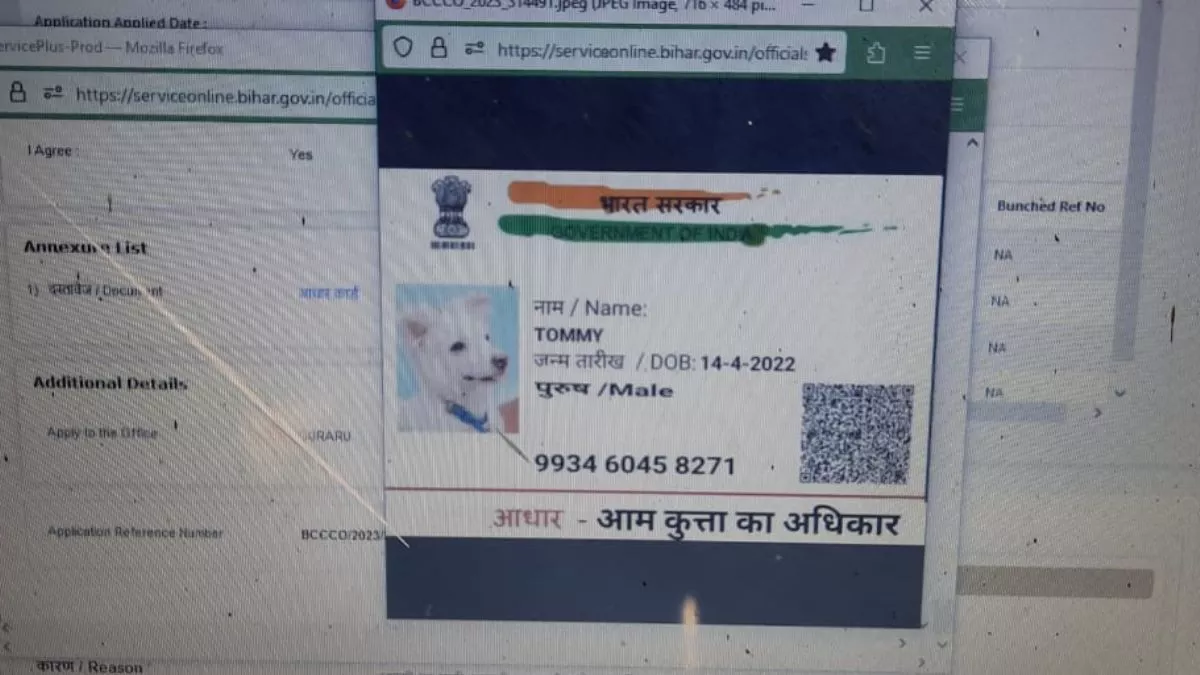बिहार में कुत्ते का जाति प्रमाण पत्र के लिए आवेदन, वेरिफिकेशन के लिए आधार कार्ड भी दिया; वायरल हुई तस्वीर