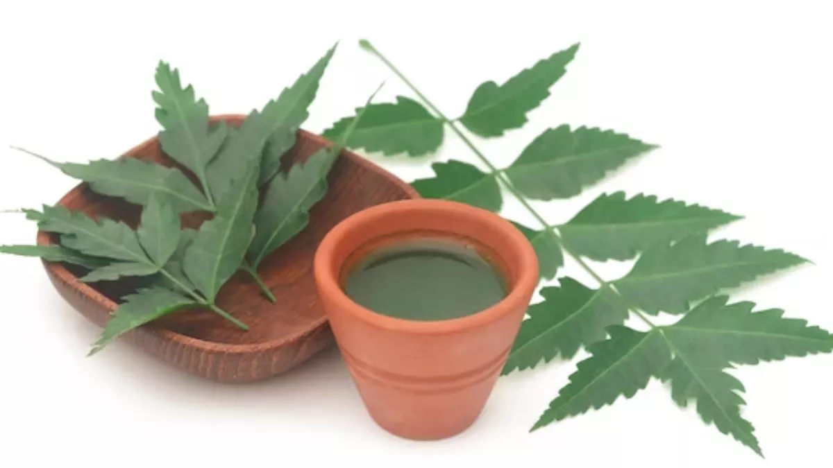 Neem for Dandruff: रुखे बालों और डैंड्रफ से छुटकारा पाने के लिए नीम को करें ऐसे इस्तेमाल
