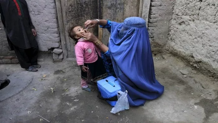Wild Poliovirus: पाकिस्तान में वाइल्ड पोलियो वायरस का कहर, एक महीने में मिले 28 नए केस (फाइल फोटो)
