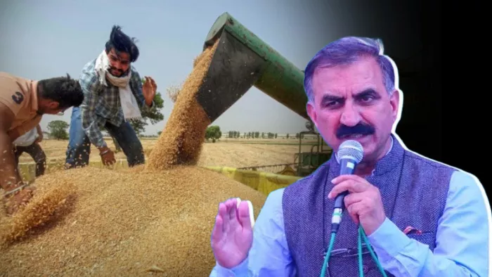 प्रदेश में 40 किलो की दर से गेहूं खरीदेगी सरकार (जागरण फोटो)