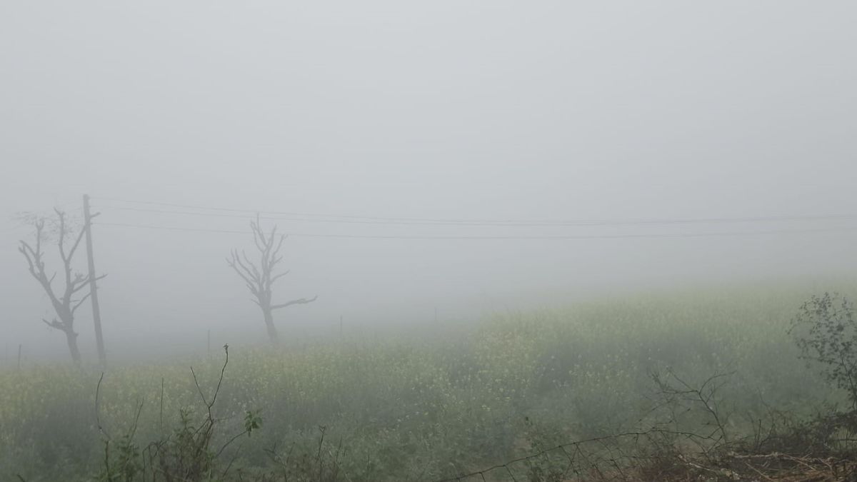 Rewari Weather: रेवाड़ी में बदला मौसम का मिजाज, सुबह से हो रही ...