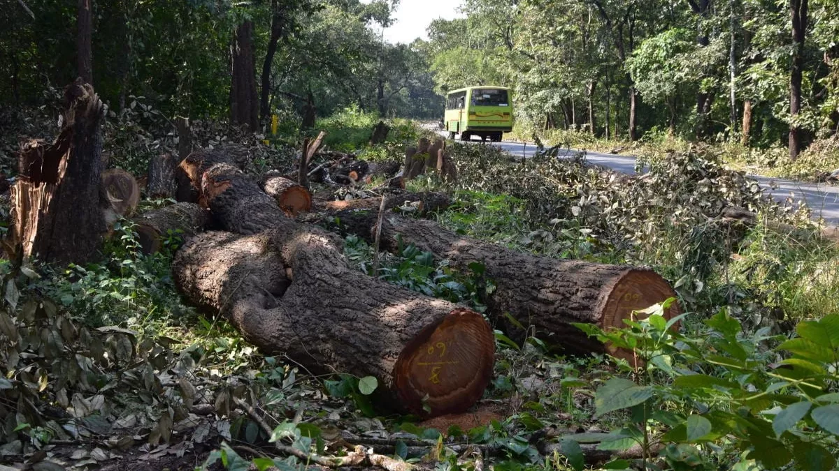 Odisha News: ओडिशा में सड़क चौड़ीकरण के लिए काट दिए गए हजारों वृक्ष, लोगों में है आक्रोश