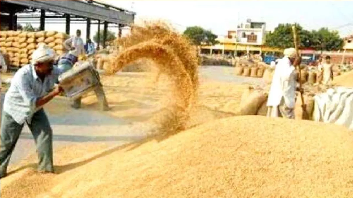 UP: एक अप्रैल से 2125 रुपये प्रति क्विंटल की दर से 15 जून तक MSP पर खरीदा जाएगा गेहूं, आनलाइन होगा रजिस्ट्रेशन - Wheat will be bought on MSP from April 1