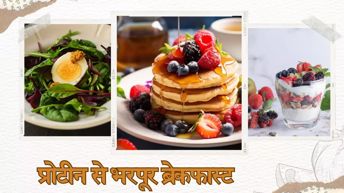 High Protein Breakfast: रहना चाहते हैं दिनभर एनर्जेटिक, तो ब्रेकफास्ट में शामिल करें प्रोटीन से भरपूर ये डिशेज