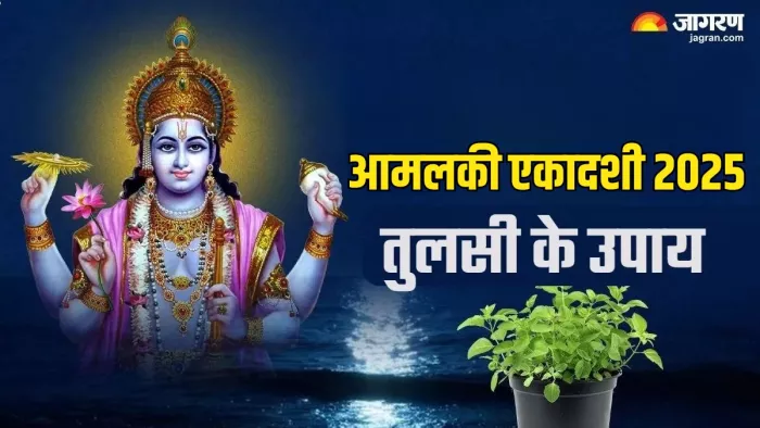 Amalaki Ekadashi 2025: आमलकी एकादशी पर आजमाएं तुलसी के ये उपाय