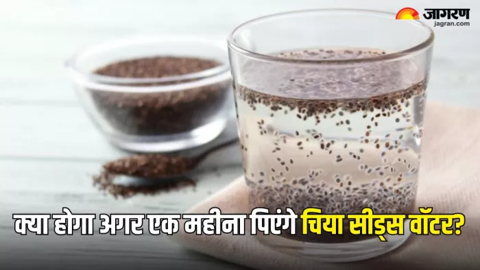 Chia Seeds Benefits: चिया सीड्स से सेहत को मिलेंगे 10 कमाल के फायदे (Picture Courtesy: Freepik)