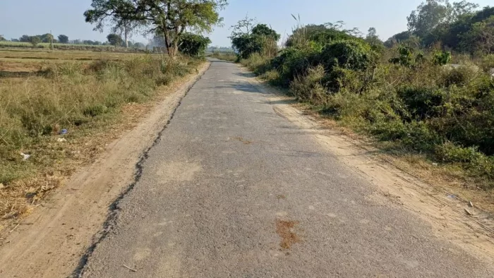 प्रस्तुति के लिए इस्तेमाल की गई तस्वीर