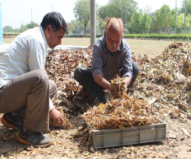 अस्पताल परिसर में निगम से प्रेरित होकर नेट युक्त छह कंपोस्टिंग पिट स्थापित की गई है।