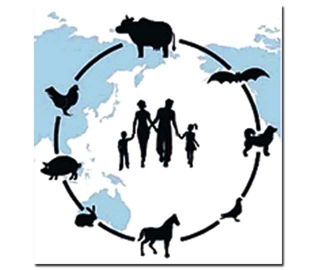 Reverse Zoonosis:... तो इसलिए जरूरी है सावधानी।