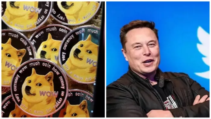 Elon Musk Tweet Explain Why He Changed Twitter Blue Bird Logo, Pic Courtesy- Jagran File