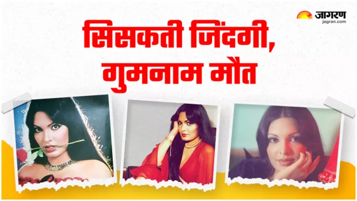 Know About Parveen Babi Movies, Personal Life And Controversies, Twitter Fan Page