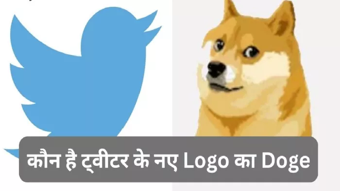 twitter new logo: ट्विटर पर दिख रहे नए लोगो की पूरी कहानी।