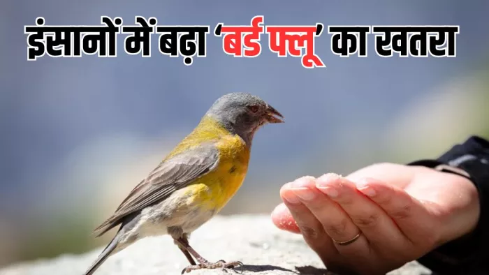 अमेरिका में इंसानों में सामने आया बर्ड फ्लू का दूसरा मामला
