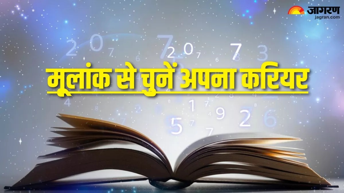 Numerology: मूलांक के अनुसार आपके लिए कौन-सा करियर ऑप्शन रहेगा बेहतर? सफलता का मिलेगा अवसर