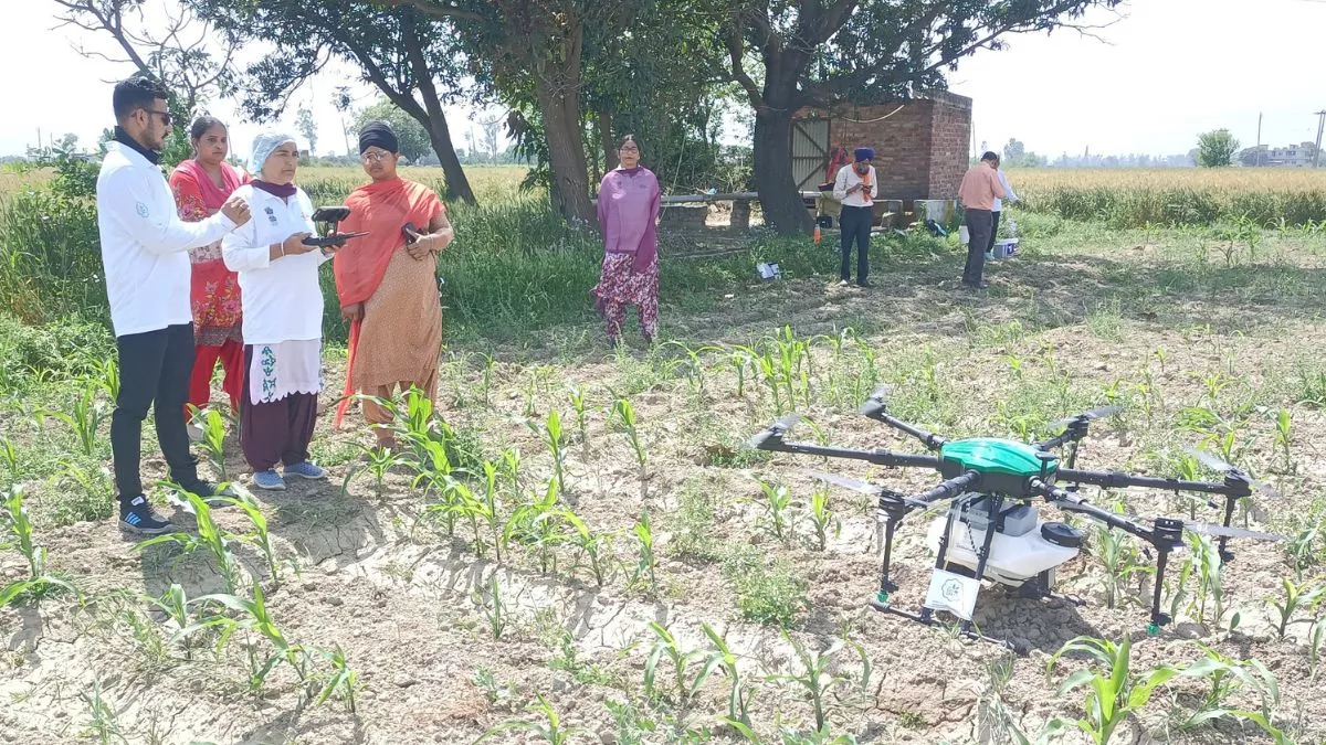 Punjab News: अब महिलाएं खेतों में ड्रोन से करेंगी स्प्रे, साथ-साथ कमाएंगी रुपये; इन जिलों में दी जा रही ट्रेनिंग