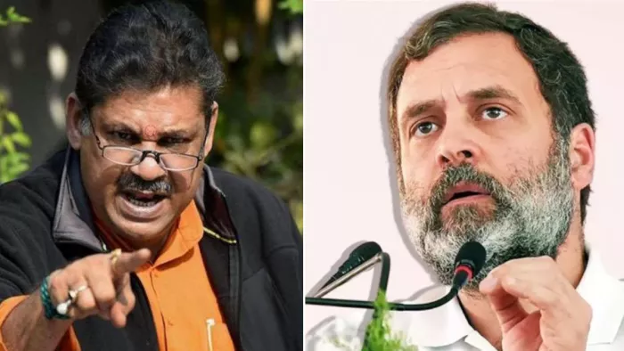 Lok Sabha Chunav 2024: कीर्ति आजाद और राहुल गांधी। (फाइल फोटो)