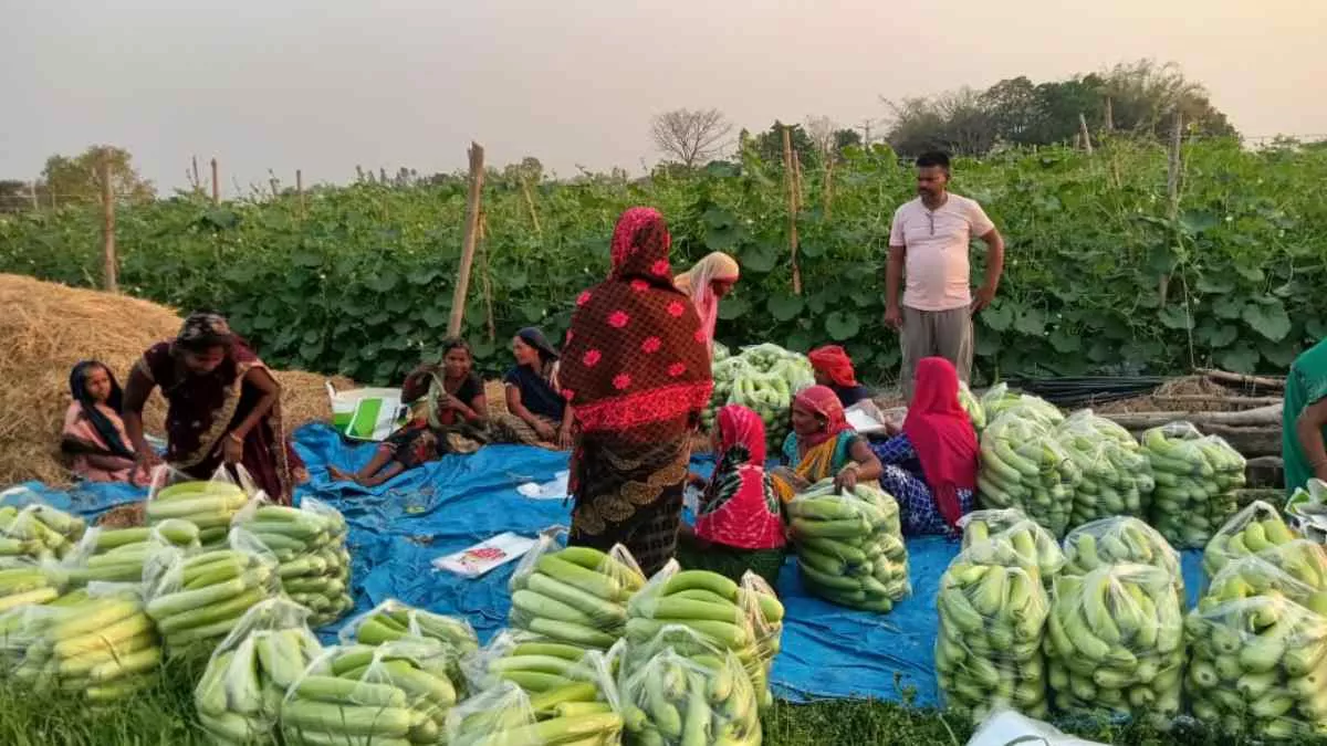 यहां के किसान अब दिल्ली-मुंबई नहीं जाते, घर में ही रहकर कमाते हैं लाखों