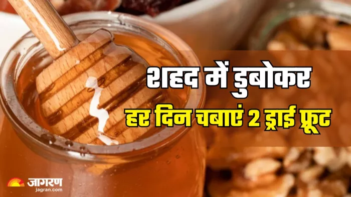 Benefits of Honey Soaked Dry Fruits: शहद के साथ मिलकर दोगुना फायदा पहुंचाते हैं 2 ड्राई फ्रूट्स (Image Source: Freepik)