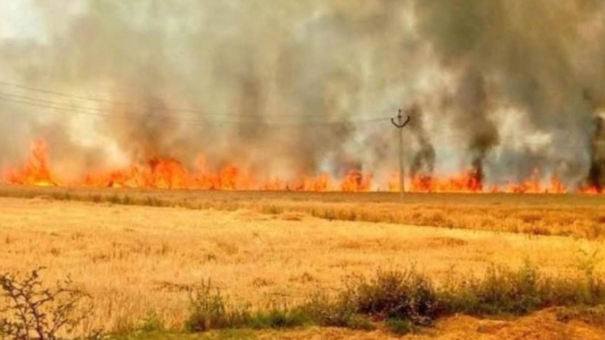https://www.jagranimages.com/images/newimg/04042025/04_04_2025-fire-up_23912029.jpg