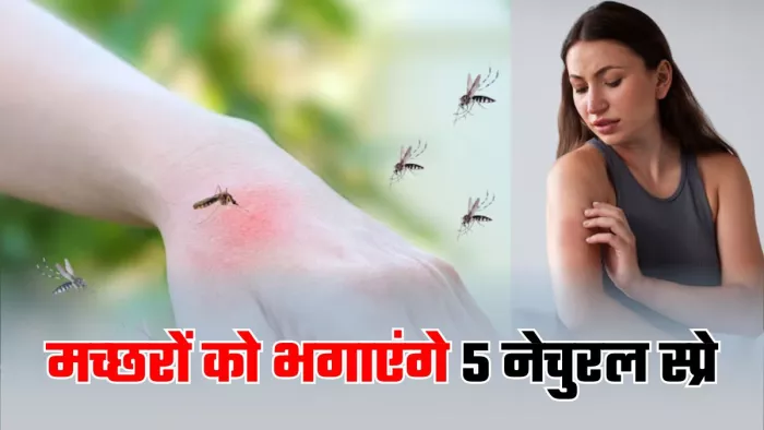 गर्मी शुरू होते ही मच्छरों का आतंक बढ़ जाता है। (Image Credit- Freepik)