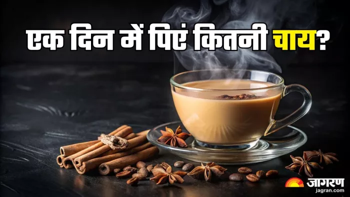 एक दिन में कितनी चाय पीना सुरक्षित (Picture Credit- Freepik)