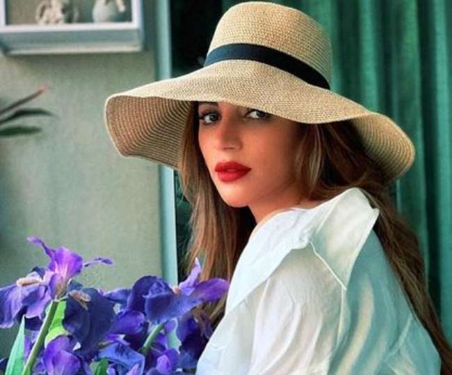 https://www.jagranimages.com/images/newimg/04052021/04_05_2021-shama_sikander_21613900.jpg
